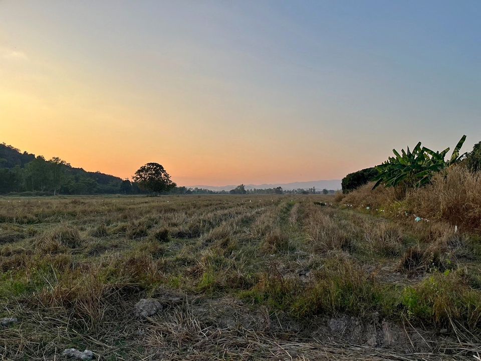 Agricultural land for sale in Ngio, Thoeng, Chiang Rai, 11 rai 1 ngan 16 sq.w.