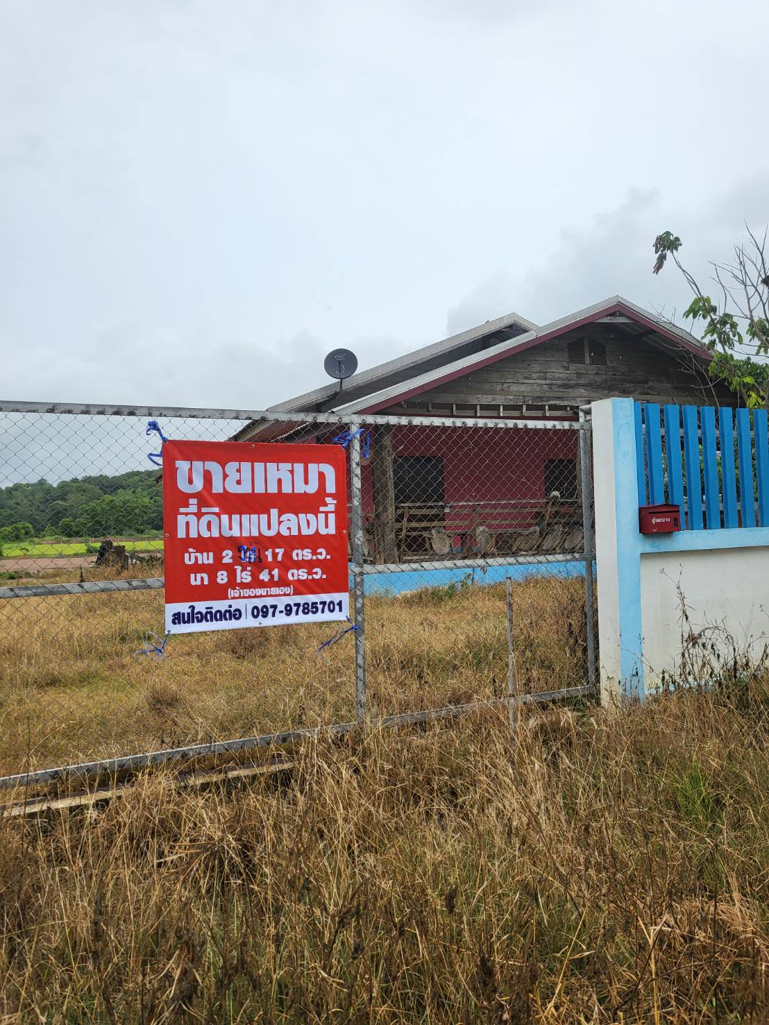 รูปประกอบขายบ้านพร้อมที่ดิน ต.หนองแรด อ.เทิง 2 งาน 17 ตรว. + 8 ไร่ 41 ตรว. รูปที่ 1