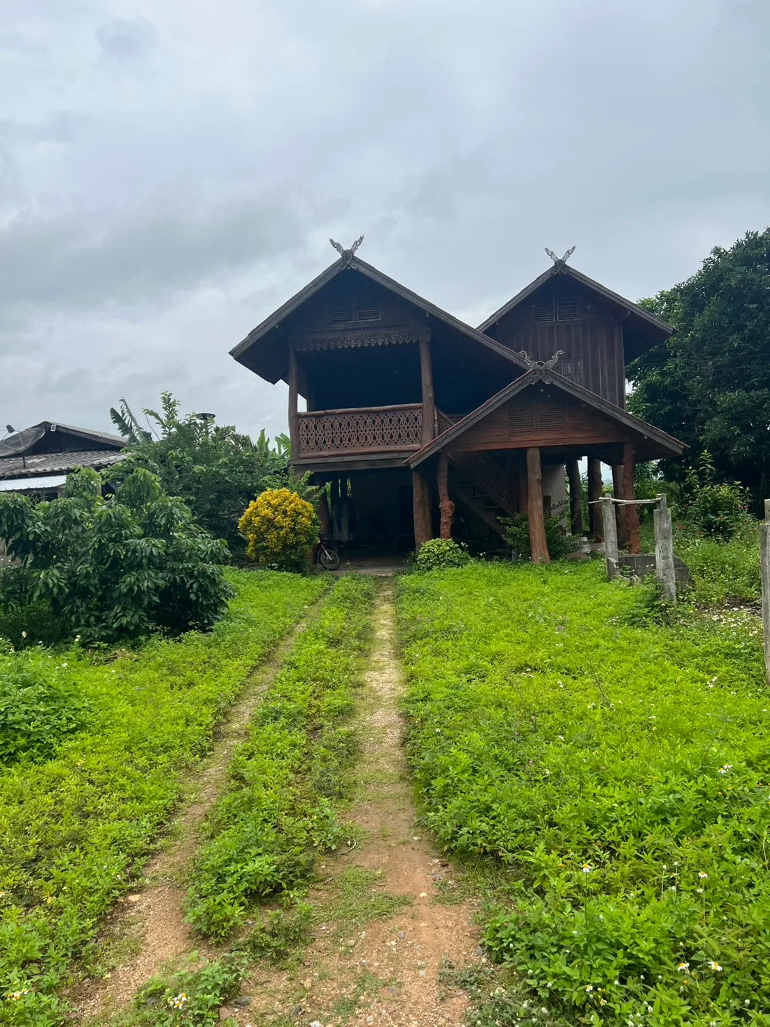 Homes and housing for sale in Plong, Thoeng, Chiang Rai, 2 ngan 37.99 sq.w.