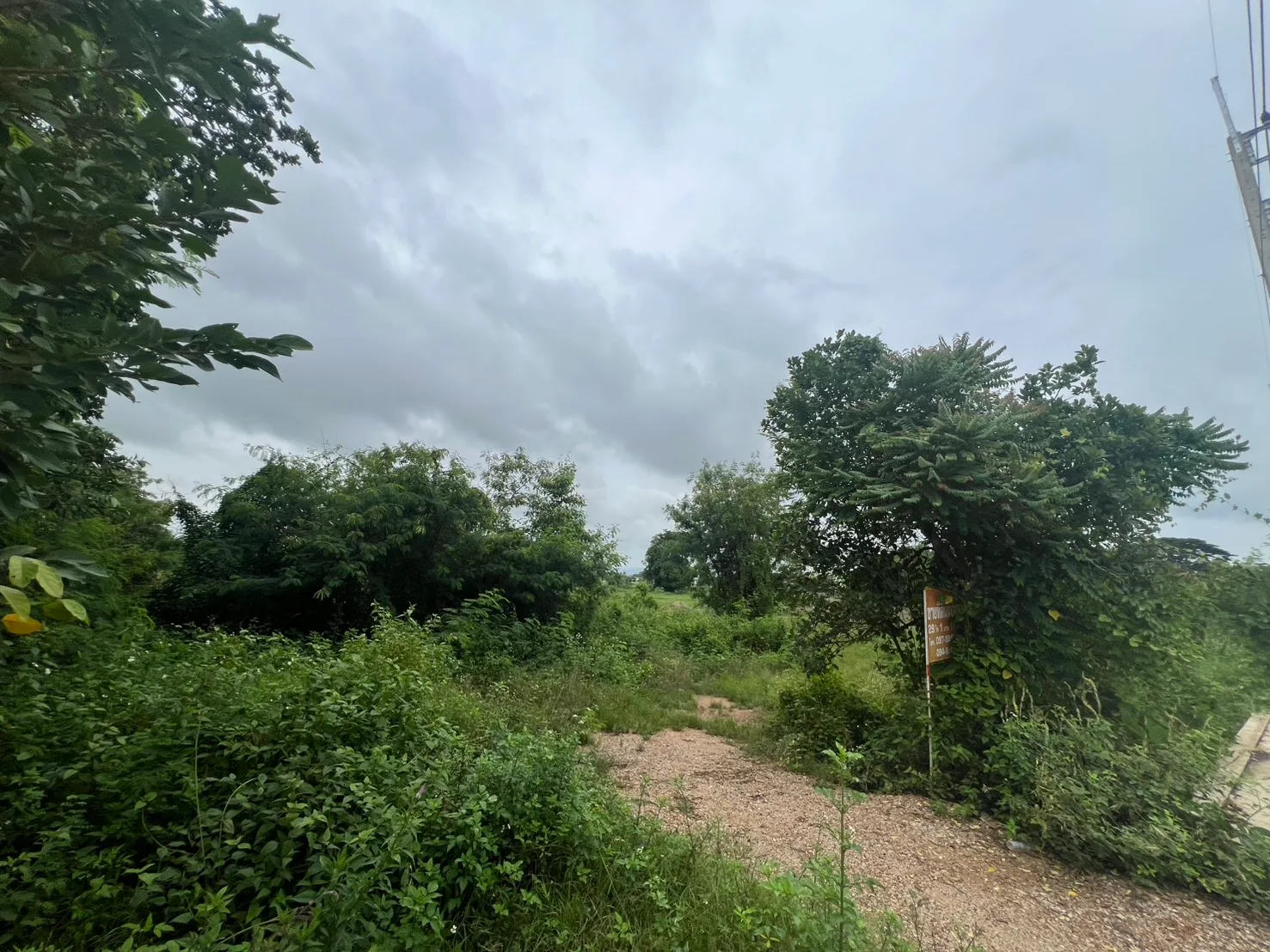 Vacant land for sale in Plong, Thoeng, Chiang Rai, 6 rai 0.6 sq.w.