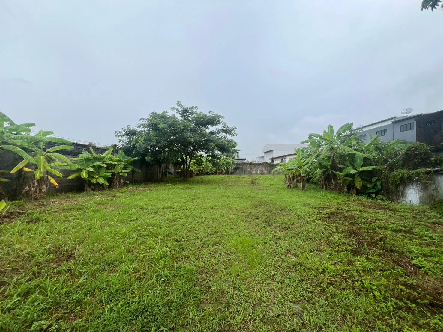 出售空地,Plong, Thoeng, 清莱,2 ngan 30 平方哇 房源图片 1