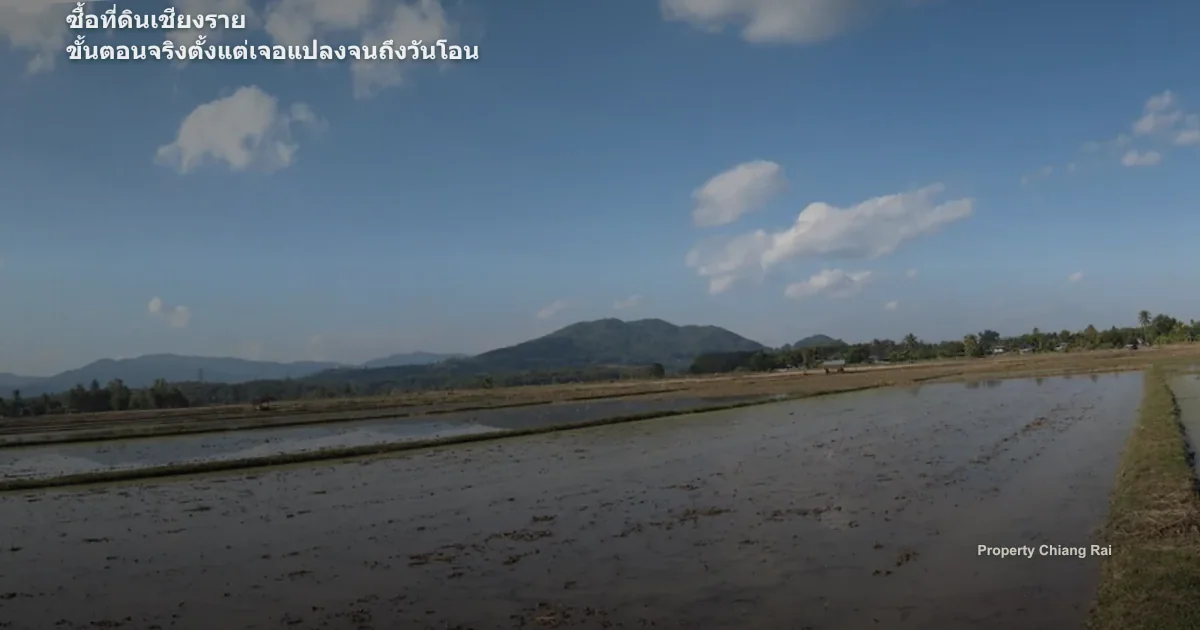 ขั้นแรกคือคัดแปลงด้วยเหตุผล ไม่ใช่ความรู้สึกว่าสวย