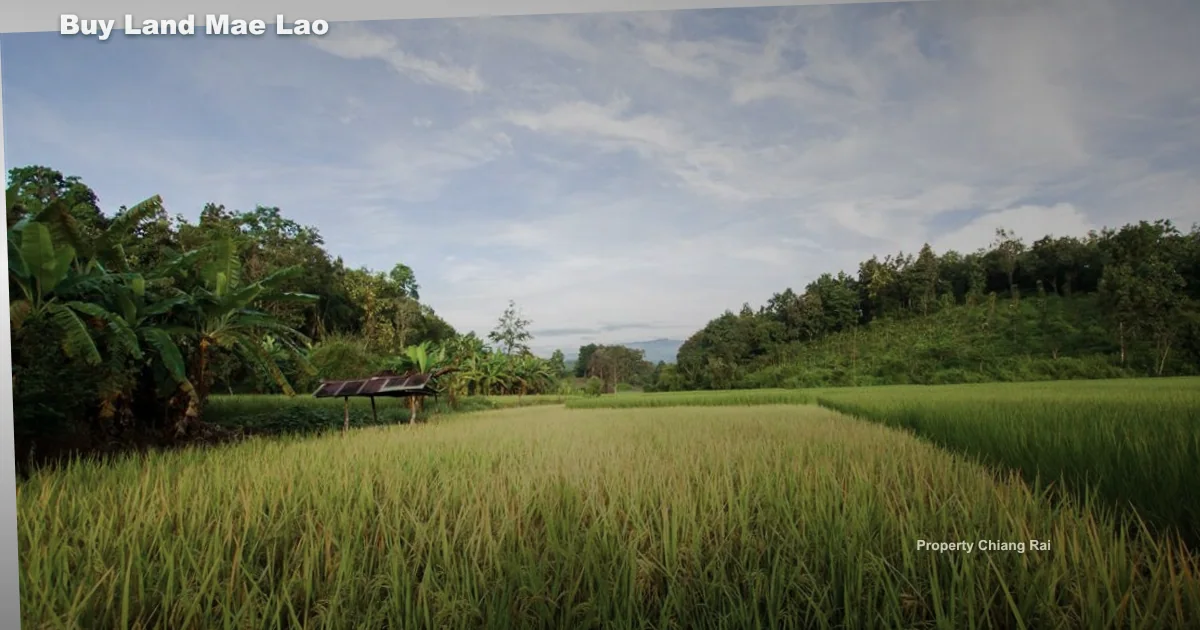 ซื้อที่ดินแม่ลาว เชียงราย ต้องเช็กอะไรบ้าง