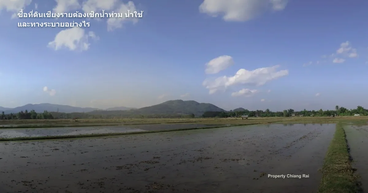 ซื้อที่ดินเชียงรายต้องเช็กน้ำท่วม น้ำใช้ และทางระบายอย่างไร