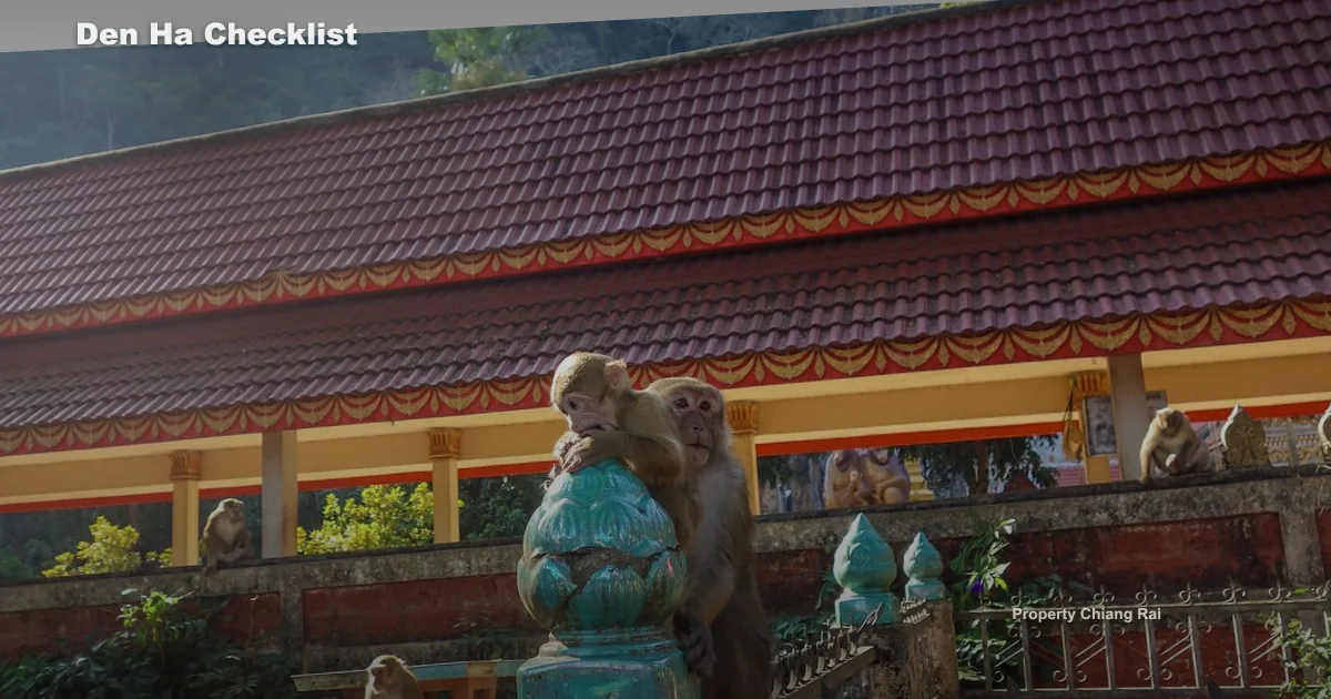 อสังหาฯ เด่นห้า เมืองเชียงราย เชียงราย เช็กอะไรก่อนซื้อขาย