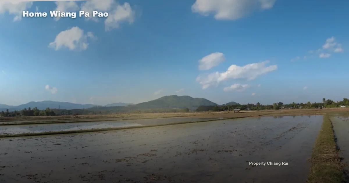 ซื้อบ้านเวียงป่าเป้า เชียงราย ต้องเช็กทำเลและสภาพบ้านอะไร