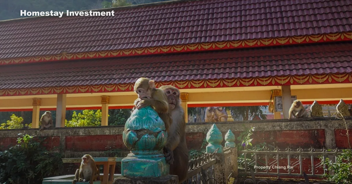 ซื้อบ้านทำโฮมสเตย์เชียงราย ต้องประเมินอะไร