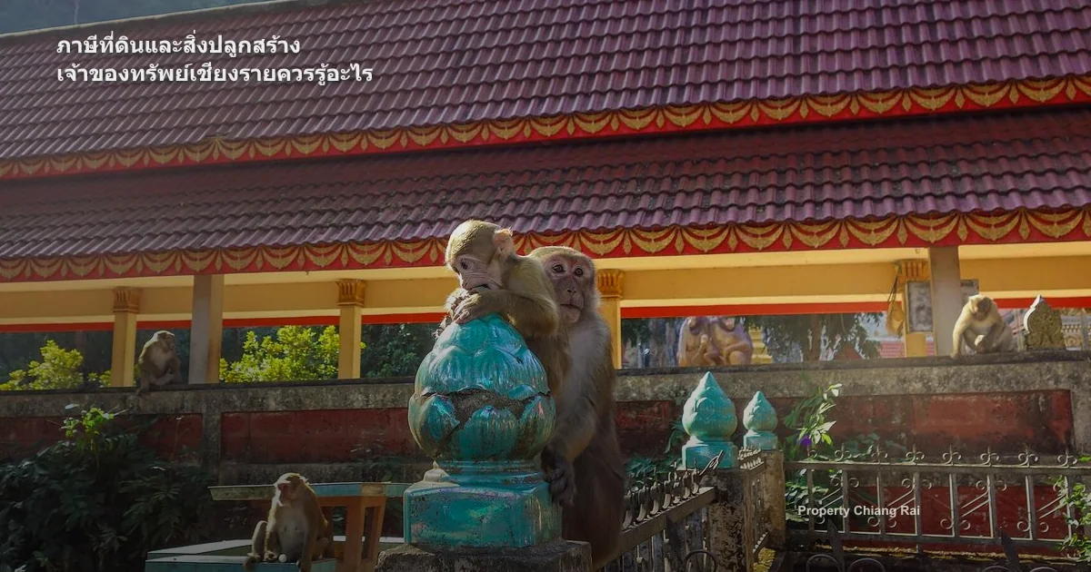 ภาษีที่ดินและสิ่งปลูกสร้าง เจ้าของทรัพย์เชียงรายควรรู้อะไร