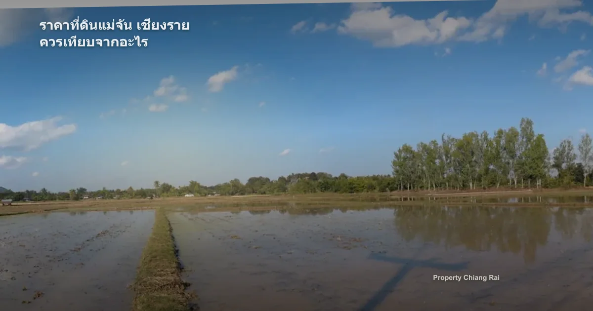 ราคาที่ดินแม่จัน เชียงราย ควรเทียบจากอะไร