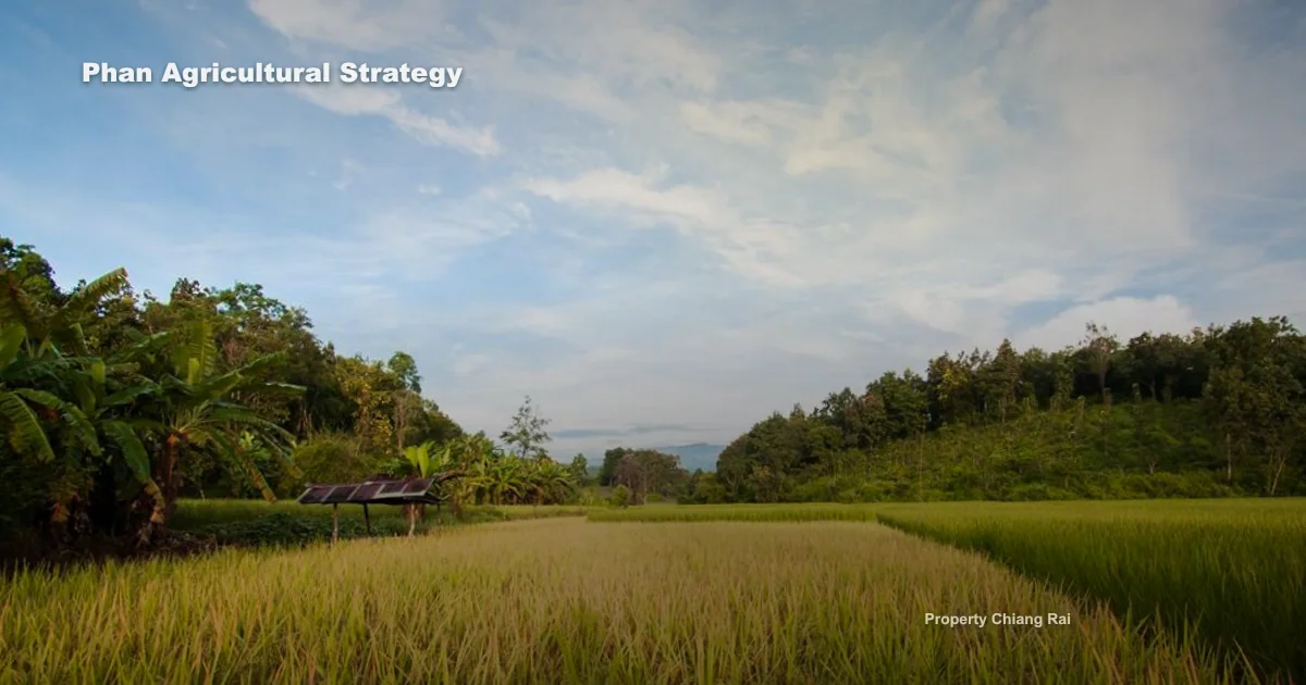 พานกับที่ดินเกษตร ต้องดูอะไรให้คุ้ม