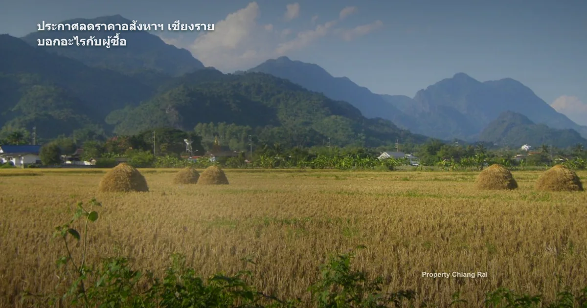 ประกาศลดราคาอสังหาฯ เชียงราย บอกอะไรกับผู้ซื้อ