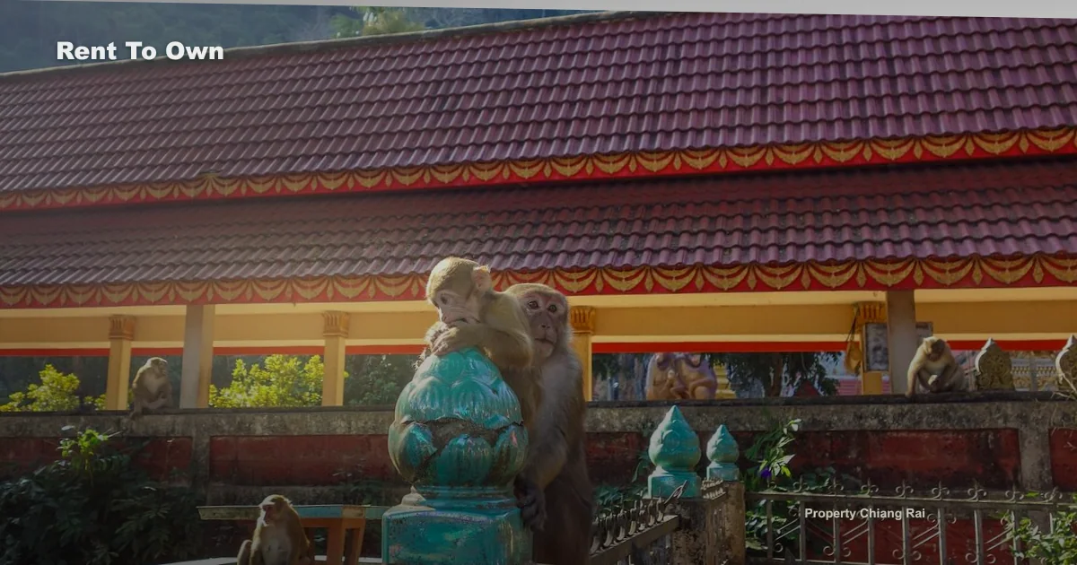 เช่าซื้อบ้านหรือที่ดินเชียงราย ต้องระวังอะไร