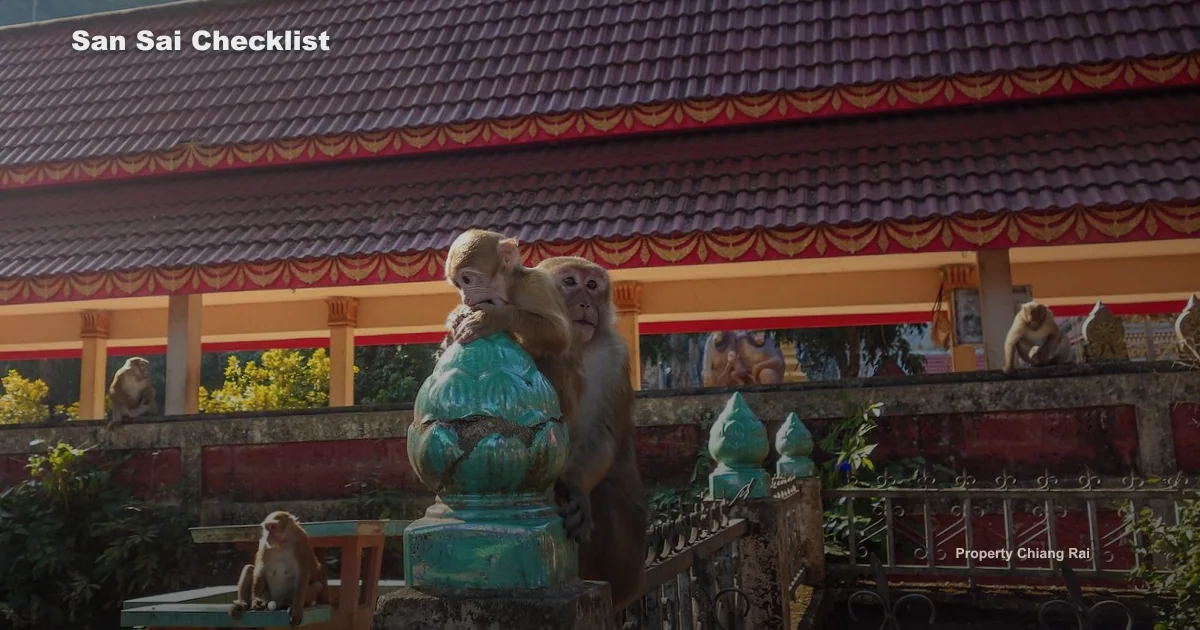 อสังหาฯ สันทราย เมืองเชียงราย เชียงราย เช็กอะไรก่อนซื้อขาย