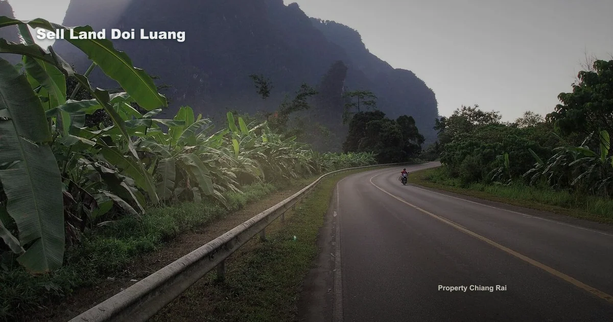 ฝากขายที่ดินดอยหลวง เชียงราย ให้ข้อมูลแบบไหนถึงได้ lead จริง