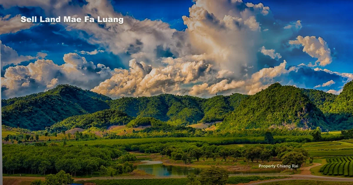 ฝากขายที่ดินแม่ฟ้าหลวง เชียงราย ให้ข้อมูลแบบไหนถึงได้ lead จริง