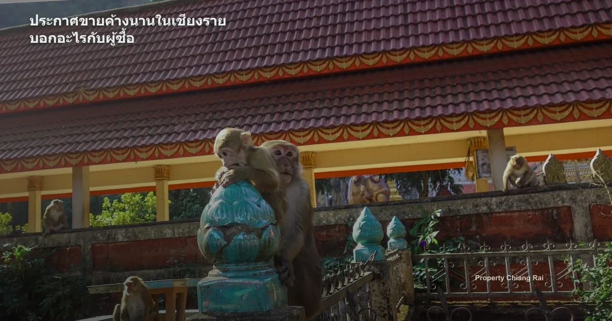 ประกาศขายค้างนานในเชียงราย บอกอะไรกับผู้ซื้อ